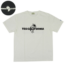 The Endless Summer TES CALIFORNIA FLOCK T-SHIRT FH-24574361画像