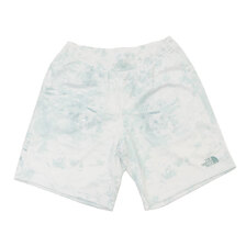 THE NORTH FACE Mesh Short WHITE&times;BLUE NB42430R画像