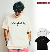ANIMALIA ANIMALIA TIDY LOGO SLAB TEE AN24SU-TE01画像