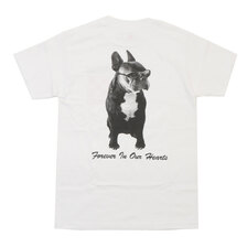 Boys of Summer Chunk T-Shirt画像