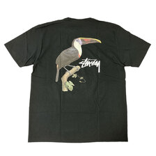 STUSSY TUCAN TEE画像