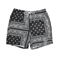 DOUBLE STEAL Pattern Short Pants 943-75045画像