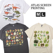 ATLAS SCREEN PRINTING プリントTシャツ ASP040001画像