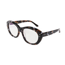 EVILACT GREYHOUND brown havana / photochromic smoke lens EAE24-19-06画像