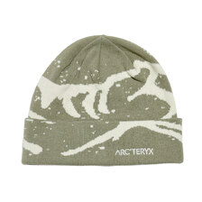 ARC'TERYX Grotto Toque RUNE / ARCTIC SILK X000009253画像