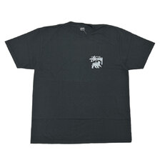 STUSSY RASTA LION PIG.DYED TEE画像