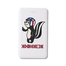 ANIMALIA PORTABLE BATTERY AN24A-AC05画像