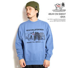 The Endless Summer TES 4BUHI CN SWEAT FH-24774321画像