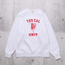 The Endless Summer TES COLLEGE EMB BIG SWEAT C-24774301画像