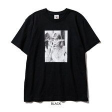 SOFTMACHINE ELVIRA-T画像