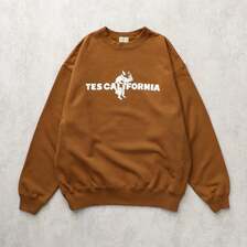 The Endless Summer TES CALIFORNIA FLOCK CN SWEAT FH-25374305画像