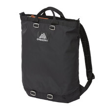 GREGORY FLASH DAY 09J 29150画像