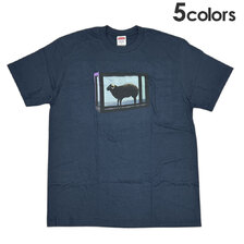 Supreme 25SS Damien Hirst Tee画像
