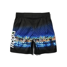 LFYT x reversal NYC FIGHT SHORTS (BASIC LENGTH / with POCKET) RVLFYT602画像