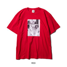 SOFTMACHINE ELVIRA-T画像