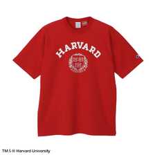 Champion Made in U.S.A. T-1011 T-SHIRT - HARVARD - C5-B307画像