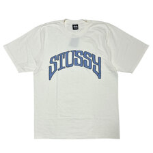 STUSSY ARCHED PIG.DYED TEE画像