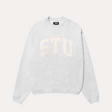 STUSSY STU RELAXED CREW 118577画像