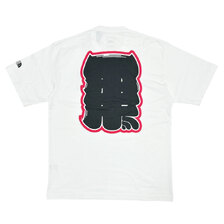 THE NORTH FACE S/S TNF Graphic Tee NT12563R画像