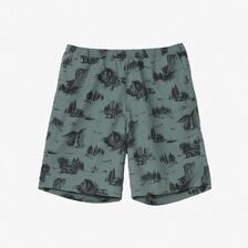 THE NORTH FACE 25SS Aloha Vent Short NB42532画像