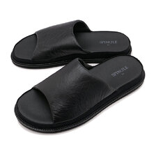 SPINGLE SP-1718 Black画像