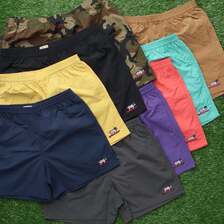 The Endless Summer HUNTINGTON NYLON SHORTS 25574002画像