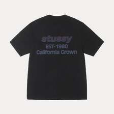 STUSSY CALIFORNIA GROWN TEE PIGMENT DYED 1905135画像