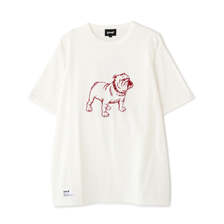 Schott PIGMENT T-SHIRT FLOCKY BULLDOG 7825134034画像