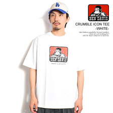 BEN DAVIS CRUMBLE ICON TEE C-25580017画像