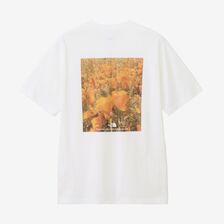 THE NORTH FACE FD Pixel Plant Cotton S/S Tee NT32549画像