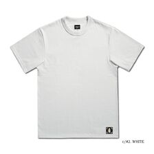 DALEE'S & CO SAT1930 1930s PLAIN画像