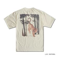 DALEE'S & CO ORT2025-A 竹虎画像