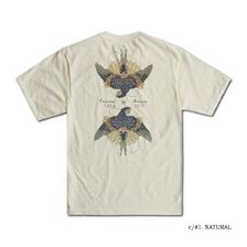 DALEE'S & CO ORT2025-B 鏡燕画像