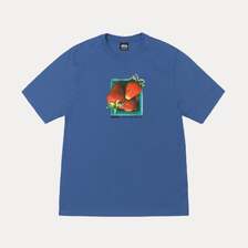 STUSSY BERRIES TEE 1905108画像