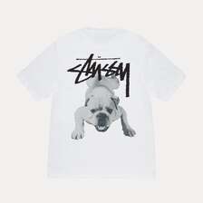 STUSSY STOCK DOG TEE画像