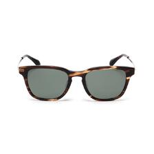 AVIREX EYEWEAR -AX-305 7835270203画像