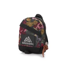 GREGORY MINI DAYPACK POUCH 07J*12310画像