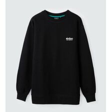 Wild Things SWEAT CREW WT25133IS画像