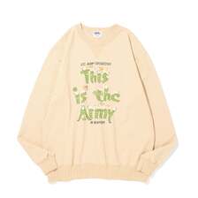 Pherrow's 25W-PVGS1画像