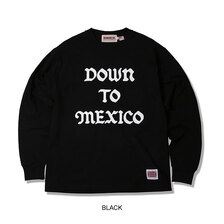 ANIMALIA 8.1oz US Cotton L/S -DOWN TO MEXICO AN25A-CS01画像