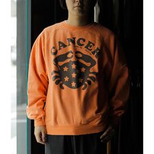 NEXUSVII CANCER CREW SWEAT画像