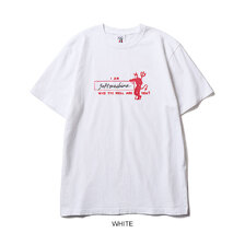 SOFTMACHINE INTRODUCTION-T画像