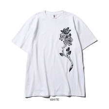 SOFTMACHINE BELIEVER-T画像