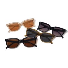 Subciety Sunglass-Swan- 152-87162画像