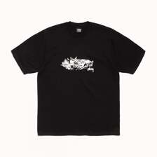 STUSSY FAWN TEE 1905143画像