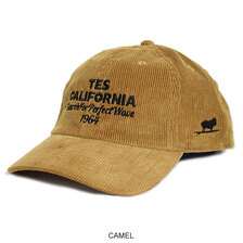 The Endless Summer TES TEAM LOGO CORDUROY CAP SD-26174700画像