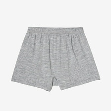icebreaker M Merino 150 Relaxed Boxers IB0A572B画像