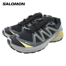 SALOMON EXAMOTION GTX Dark Navy/Dark Slate/Willow L49137000画像