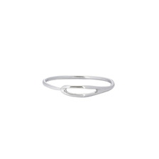 Porter Classic PLATINUM NEEDLE RING PC-011-3394画像