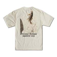 DALEE'S & COORT2026-B 1906s JAPAN CARP画像